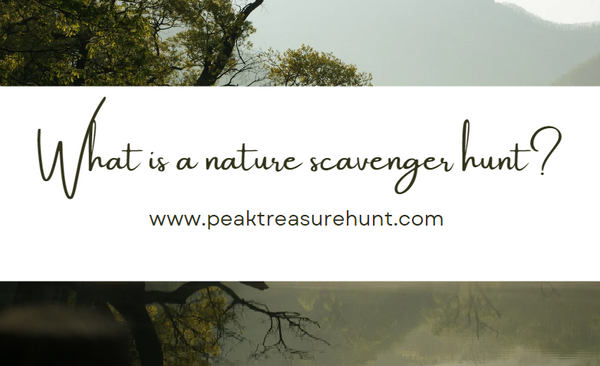 What Is A Nature Scavenger Hunt? (And How To Do One)