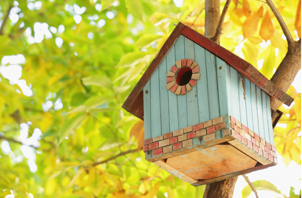 Building Birdhouses: Creative DIY Project With Children