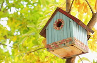 Building Birdhouses: Creative DIY Project With Children