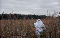 The_Best_Halloween_Scavenger_Hunt_Ideas_for_Kids