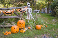 Halloween -Decor